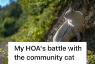 Stray Cat Finds A New Home With A Couple And Their Dogs, But Even Felines Aren’t Immune From The Wrath Of A Meddling HOA