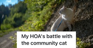 cat outside on a leash