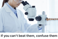 Her Coworker Thought They Were Better Than Her, So She Decided To Get Revenge In The Best Possible Way