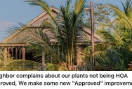 A Homeowners Neighbors Complained About Plants In Their Garden, So They Planted Palm Trees To Block The View Out Of His House