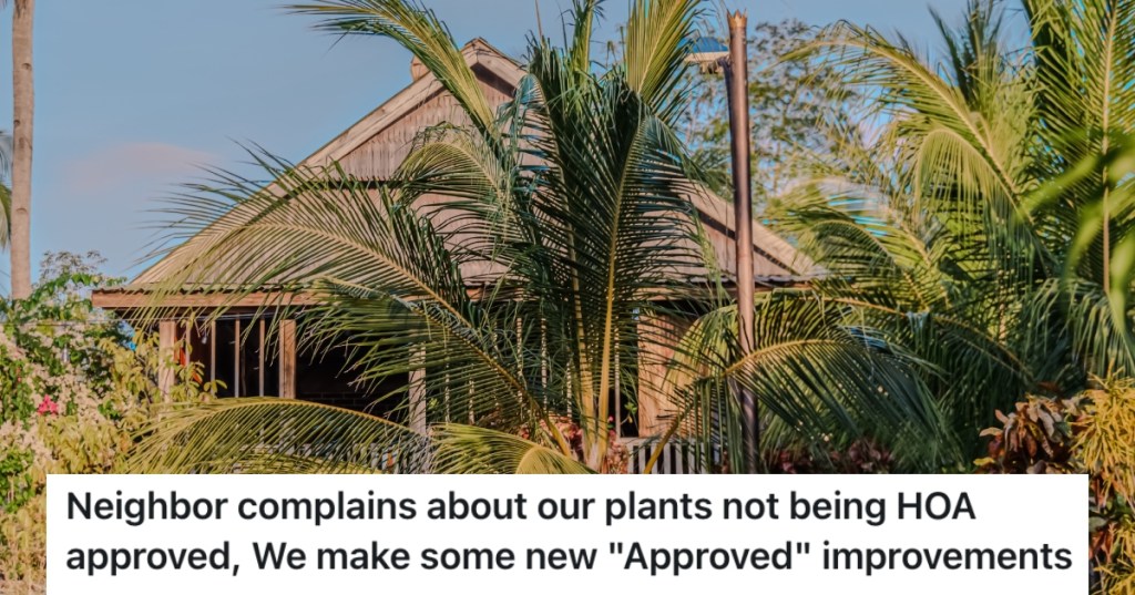 house with palm trees in yard
