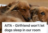 Young Couple Wants To Take The Next Step And Move In Together, But One Of Them Won’t Let Dogs Sleep In The Bedroom