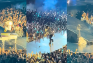 The New York Mets Mascot Had A Mishap And Fell Off The Stage At A Lumineers Concert