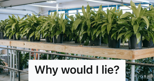 plant section of a hardware store