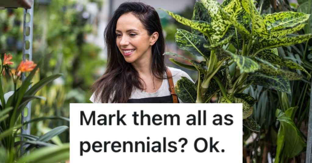 woman in a plant store