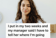 Employee Refused To Reveal Their Next Employer After Resigning, So Their Toxic Boss Threw A Fit And Got Shut Down