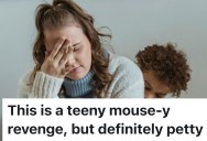 Family Is Treated Poorly By Sister-In-Law During Emergency Stay, So They Find A Tiny Act Of Revenge