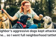 A Homeowner’s Neighbors Wouldn’t Control Their Dogs No Matter How Many Times They Talked to Them About It, So They Posted a Video of Them Not Cleaning Up After Them For the Whole Neighborhood
