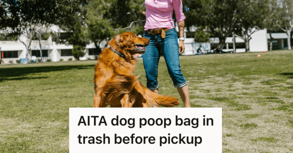 woman playing with her golden retriever outside