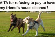 Dog-Owner Had To Take An Emergency Trip, But The Friend Who Hosted Them During The Emergency Was Upset By The Mess