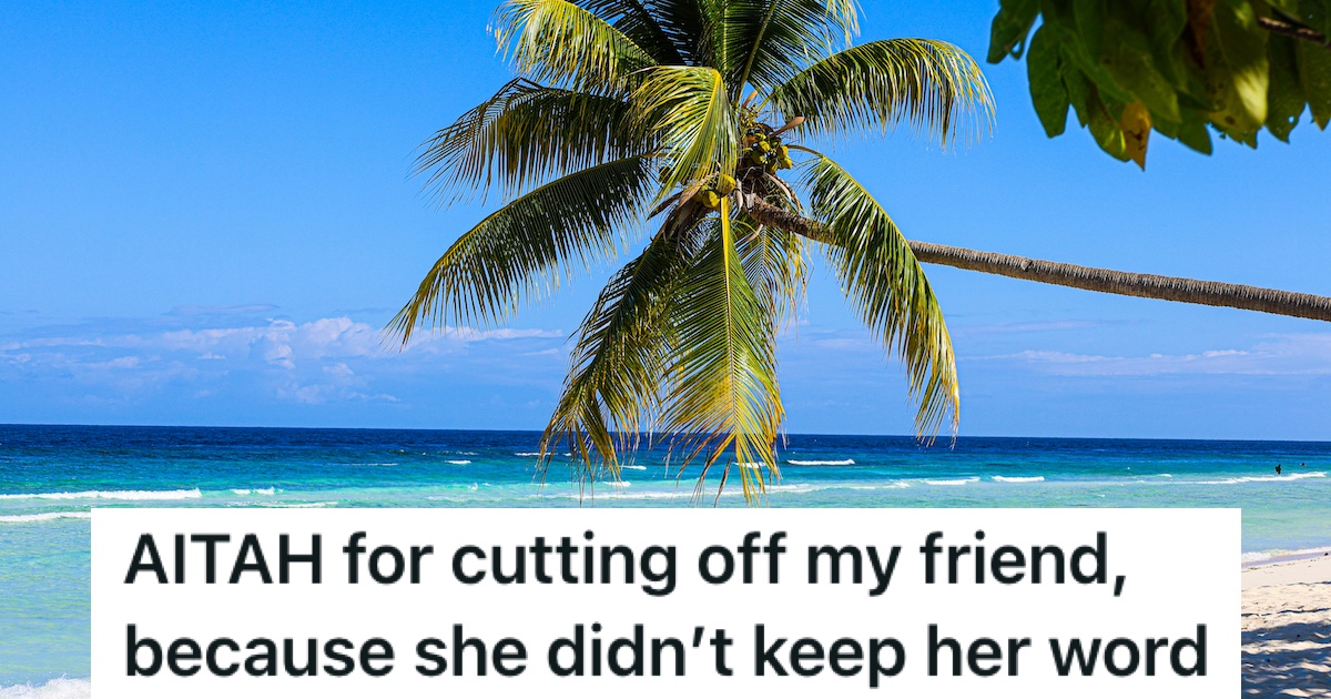 A palm tree on a tropical beach