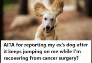 Woman Is Recovering From Cancer Surgery, But Her Ex’s Dog Keeps Jumping On Her Around Their Apartment Complex