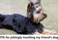 Dog Owner Used A Playful Nickname For Her Friend’s Pup During A Call, But Her Friend Blew Up And Ended Their Conversation On The Spot