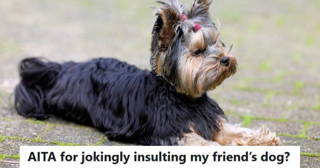 Yorkie terrier laying all pretty in the yard with a bow in her hair