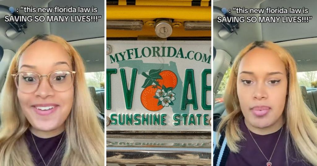 Florida license plate law