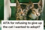 Woman Refused To Give Up A Cat She Wanted To Adopt, So The Foster Family’s Kid Has Been Crying Because Wanted To Keep It