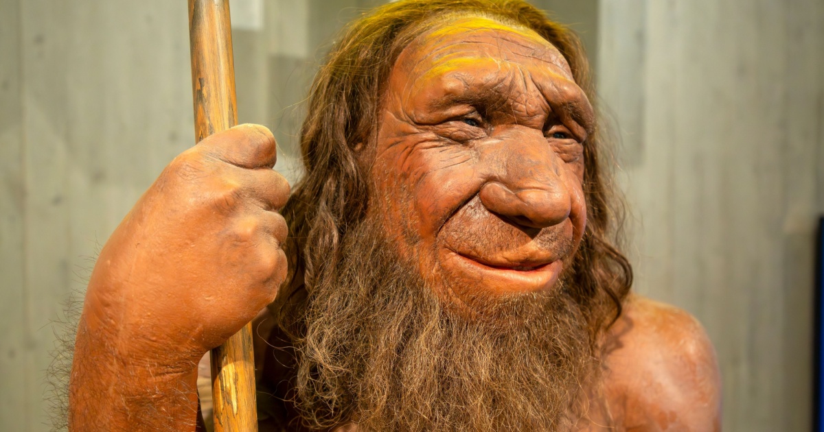 Neanderthal 1 Could The Dark Region Of The Our Genome Explain Why Neanderthal Faces Looked Dramatically Different Than Modern Humans?