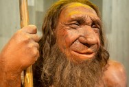 Could The Dark Region Of The Our Genome Explain Why Neanderthal Faces Looked Dramatically Different Than Modern Humans?