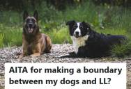 Tenant Warned Her Landlord To Not Enter Because The Dogs Might React, But The Landlord Tried Anyway And It Forced The Tenant To Rush Home