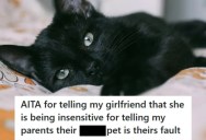 Boyfriend Told His Girlfriend She Was Insensitive For Blaming His Parents For Their Sick Cat, But When She Got Defensive, He Brought Up His Late Brother And Made Everything Worse