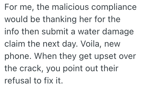 Screenshot 2025 12 04 at 1.52.30 PM A Customer Who Damaged Their Phone And Waited To Report It Until After A Vacation Was Told It Couldnt Be Fixed By Their Phone Company, So They Came Up With A Clever Way To Get Them To See Things Their Way And Fix The Phone