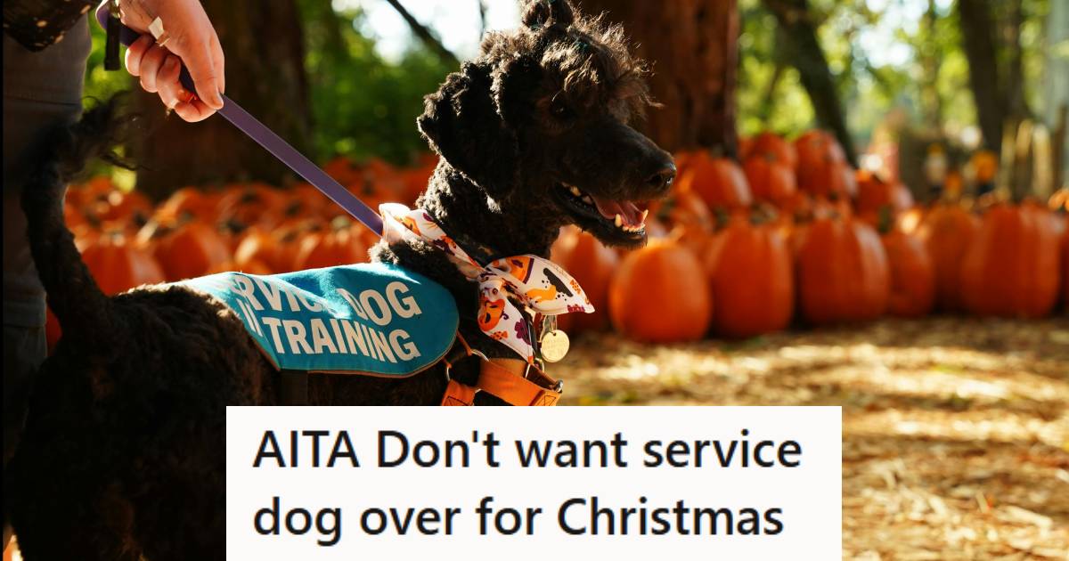Black service dog outside, wearing a vest in fall