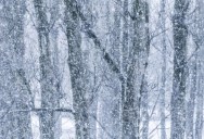 People Often Claim That They Can Smell It When A Storm Is Coming In, But Some People Say They Can Actually Smell Snow