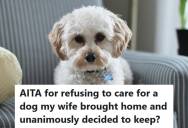 Husband Refuses To Care For A Stray Dog His Wife Kept Without His Consent, So Now She’s Accusing Him Of Being Cruel