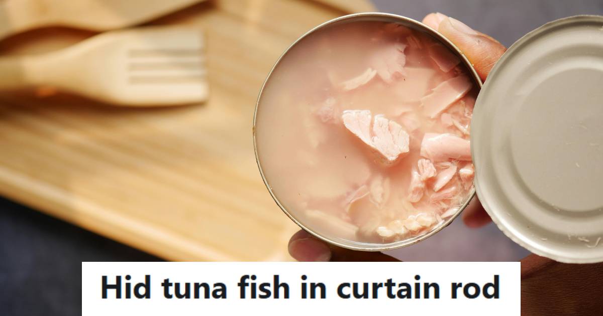 Trade School Student Endured Repeated Insults From A Classmate, So She Hid Tuna In The Woman’s Curtain Rod At A Party And Later Heard Her Complain For Weeks