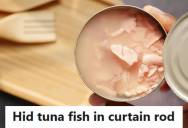 Trade School Student Endured Repeated Insults From A Classmate, So She Hid Tuna In The Woman’s Curtain Rod At A Party And Later Heard Her Complain For Weeks