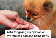 Man’s Parents Are Having Trouble Getting Their New Puppy To Eat Dog Food, But His Brother Thinks It’s Their Parents’ Own Fault