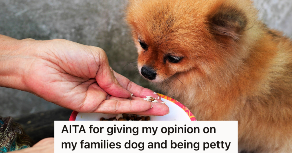 dog owner trying to hand feed puppy