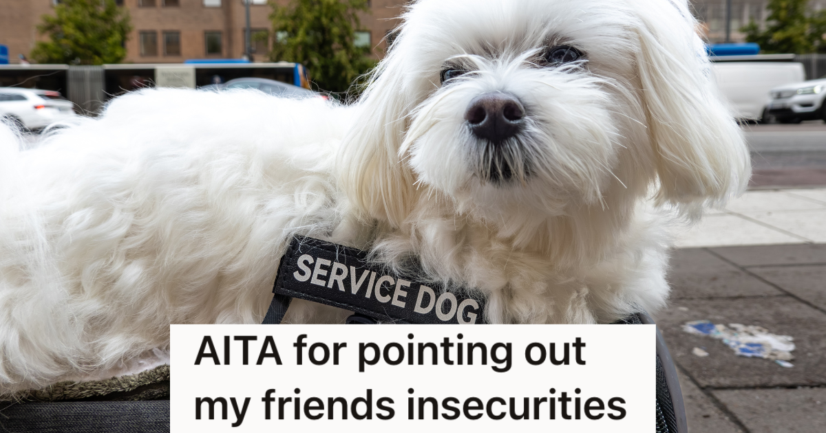 Two College Girls Are Raising Service Dogs In Their Campus Dorm, But The Dogs Don’t Get Along And It’s Causing Problems