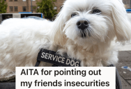 Two College Girls Are Raising Service Dogs In Their Campus Dorm, But The Dogs Don’t Get Along And It’s Causing Problems