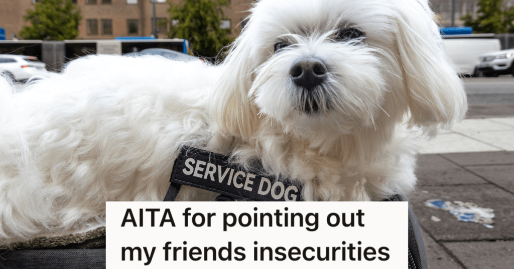 small white dog with a harness that reads "service dog"