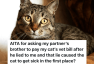 Her Partner’s Brother Lied About Changing The Filter In The Cat’s Water Fountain, So She’s Thinking About Asking Him To Pay Part Of The Vet Bill