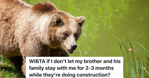 brown bear walking outside in green grass