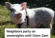 Homeowner Is Frustrated With Loud Neighbors Who Throw Loud Parties And Make Fun Of Her Pet, But The HOA Isn’t Helping Resolve The Problem