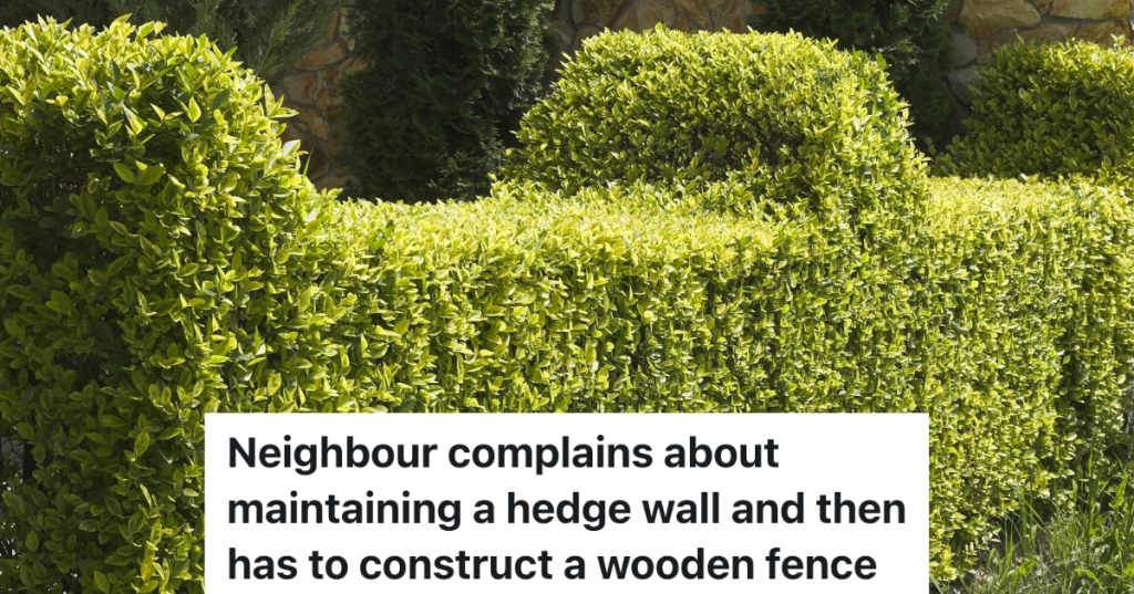 neatly trimmed hedge