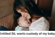 Woman Has Three Healthy Kids, But Her Sister-In-Law Can’t Have A Baby Naturally. Now The Sister-In-Law Came Up With An Odd Idea That Caused Tension In The Family.