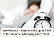 Employee Questions High Productivity, Modern Work Culture, And Argues That Alarm Clocks Are Hurting Our Health