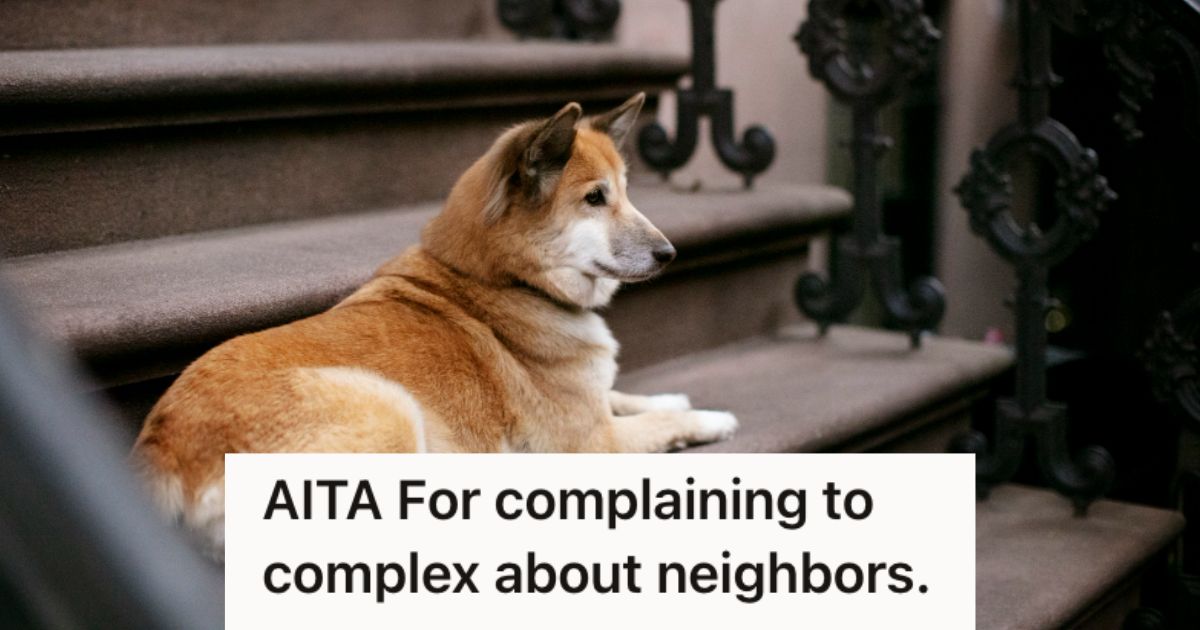 Woman Moved Into A New Apartment With Her Fiancé, But She Felt Unsafe And Uncomfortable With Her Neighbors Unleashed Dogs Dog sitting on the stairs