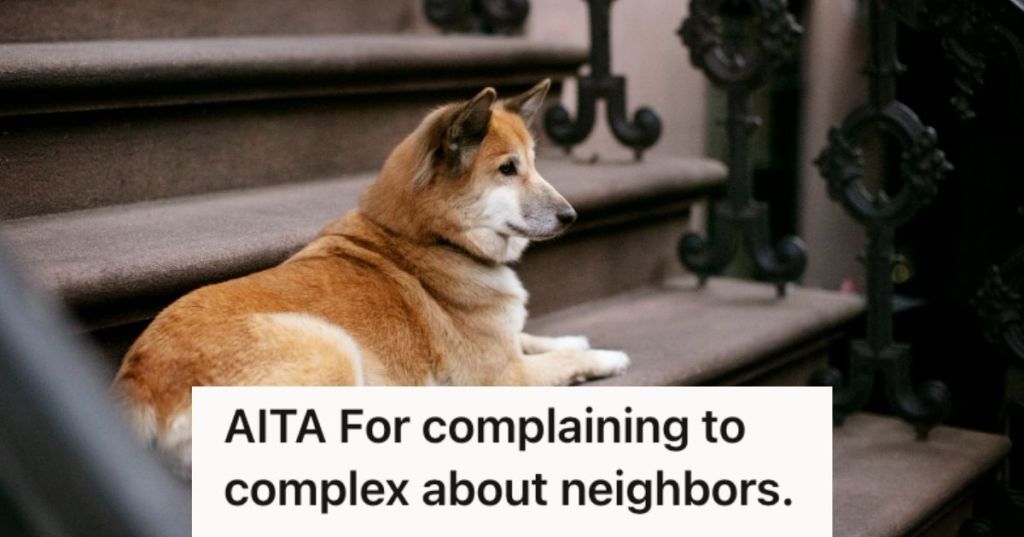 Dog sitting on the stairs