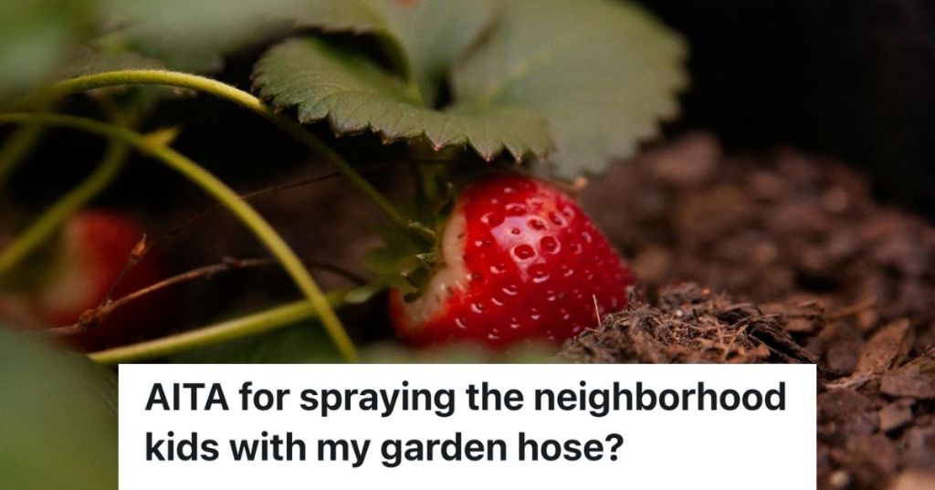 A single strawberry in soil