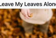 Nature-Lover Left The Fall Leaves On His Lawn To Help Natural Pollinators, But His Meddling Neighbor Had Other Ideas