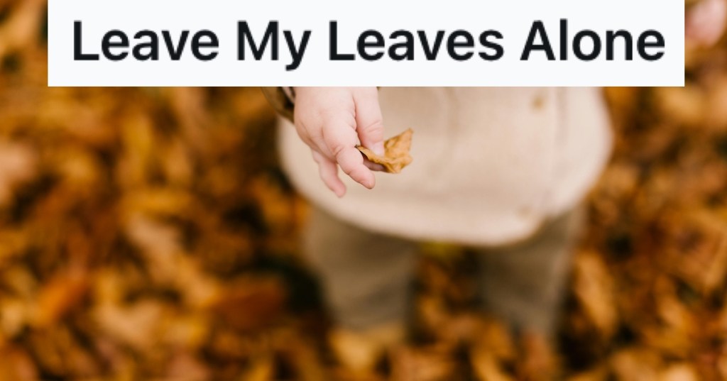 A kid holding an autumn leaf