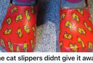 Customer Visited Best Buy To Purchase A Cable And Was Dressed In Cat Slippers, But Another Shopper Still Mistook Them For An Employee