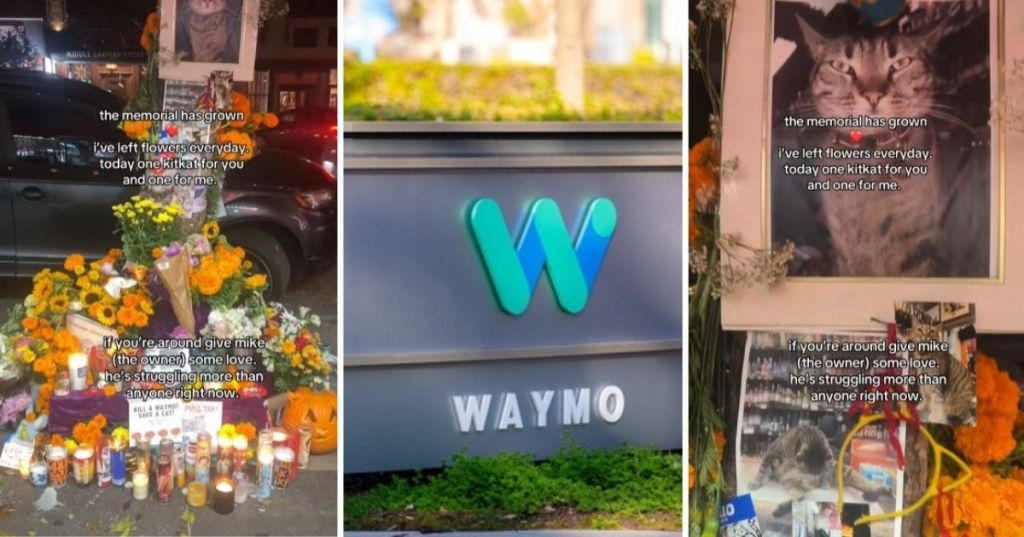 Cat memorial due to Waymo accident