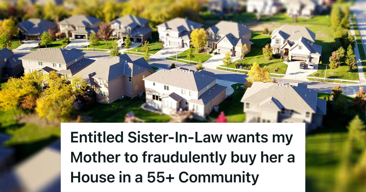 Sister In Law Tried To Commit HOA Fraud By Using Her Mother In Law’s Name For A 55+ Home, So The Family Finally Cut Her Off Once And For All aerial view of a suburban neighborhood