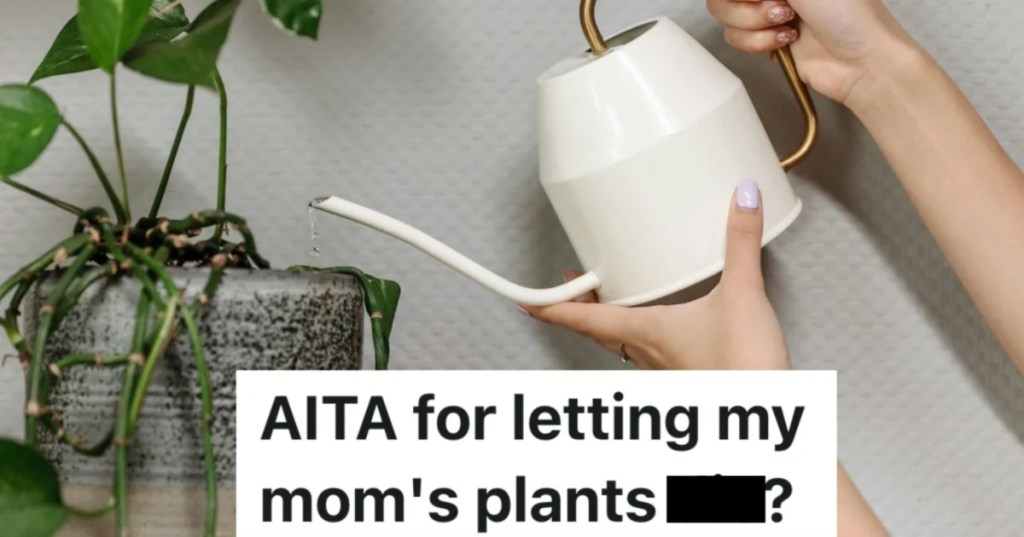 person watering an indoor plant with a watering can